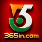 365in game