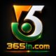 365in game